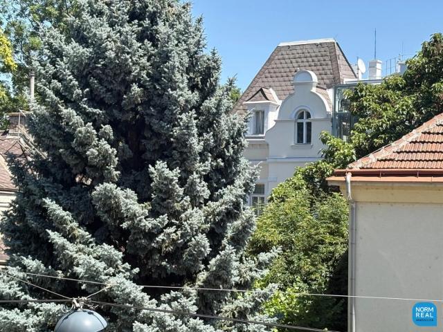 Elegante Altbauetage mit Klopfbalkon