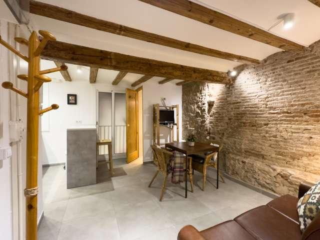 Elegante apartamento de 1 dormitorio en alquiler en El Raval, Barcelona