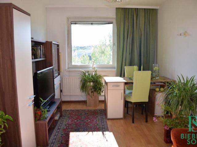 Elegante, großzügige Wohnung – Blick über Wien – Beim Döblinger Steg