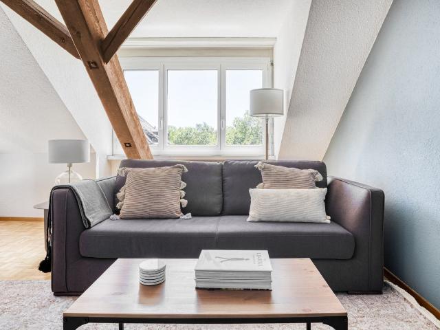 Elegantly Furnished 1 Bedroom Apartment in Sihlfeld, Zurich Amsterdam Apartments for Rent