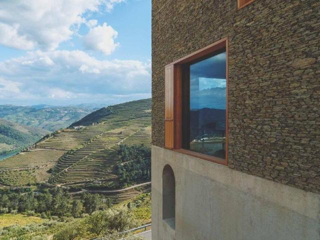 Elegância e Rendimento: Propriedade Exclusiva no Vale do Dou. 254m² Provesende, Gouvães do Douro e São Cristóvão do Douro