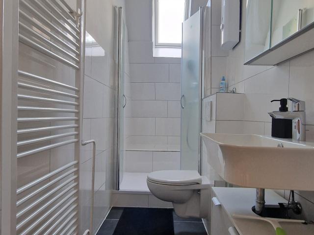 Elfriede5: fashionable renovated quiet home in GE for rent
