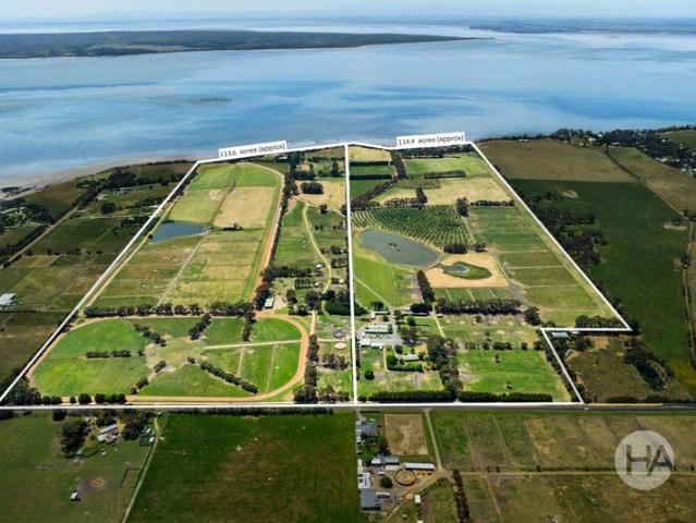 Elite Equine Estate with World Class Training Infrastructure