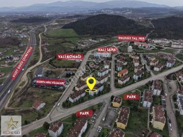 Düzce, Düzce ili, Düzce ili, Karadeniz Bölgesi