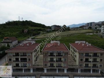 Düzce, Düzce ili, Düzce ili, Karadeniz Bölgesi