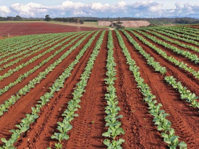 Elite Irrigated Cropping Land in Tasmania's Renowned Farming Region
