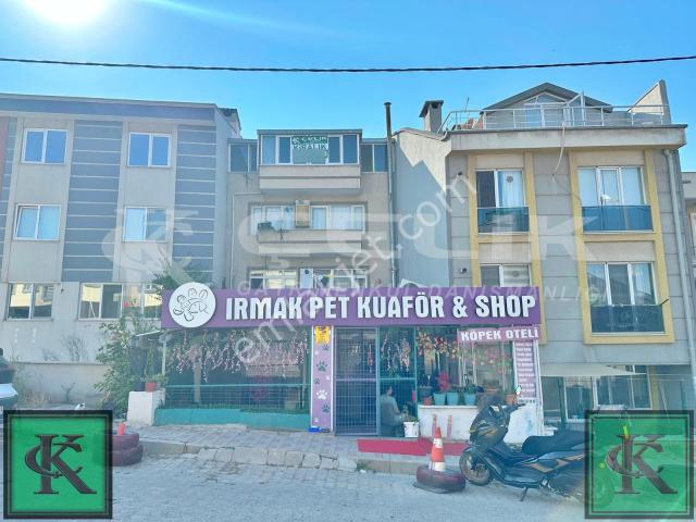 Çelik'ten Liman Avm Yakın Konumda 2+1 80m2 Kiralık Teraslı Daire