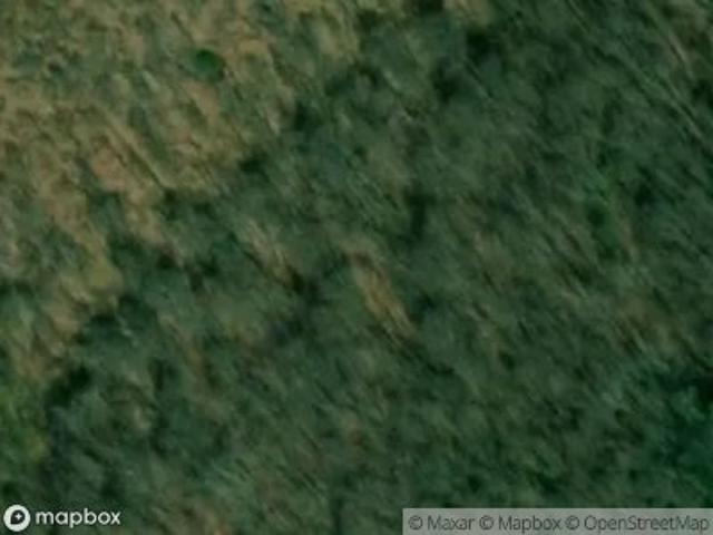Elkins Branch Rd