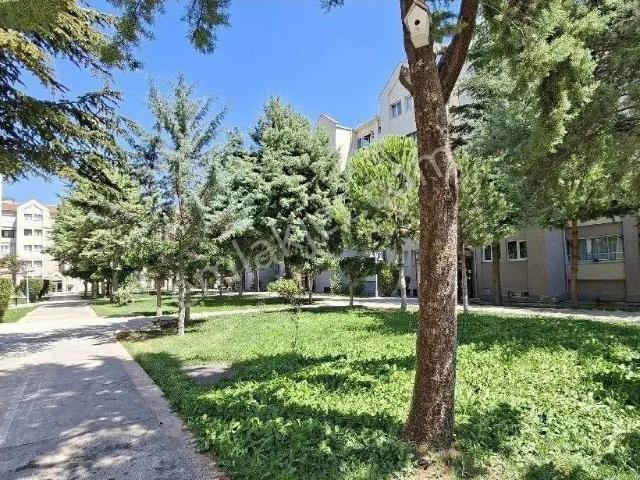 Elvankent Ayyıldız 'da Sitesinde Ara 2 Ci Katta 3+1