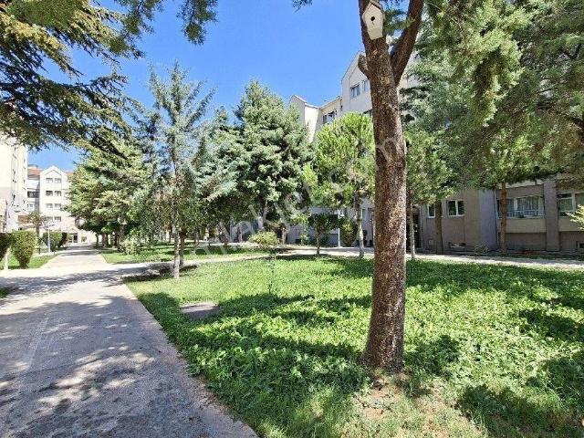 Elvankent Ayyıldız 'da Sitesinde Ara 2 Ci Katta 3+1