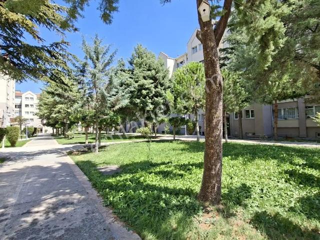 Elvankent Ayyıldız'da Ara 2 Katta Sitede 3+1