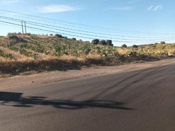 Elvas Elvas 87044109