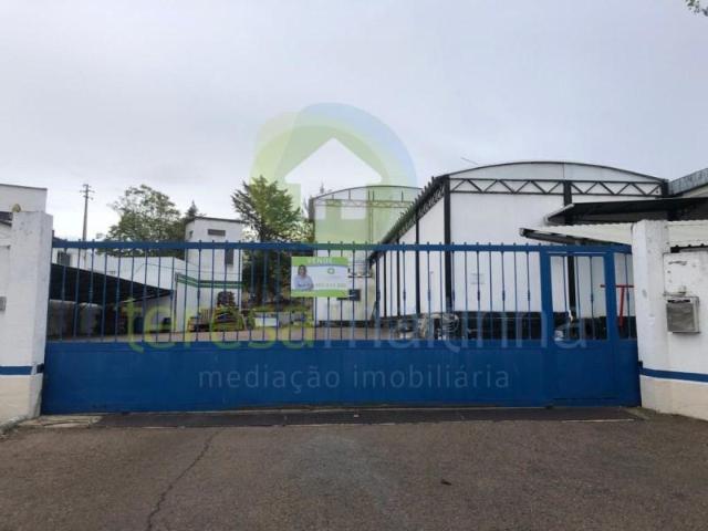 Elvas Elvas 97122478