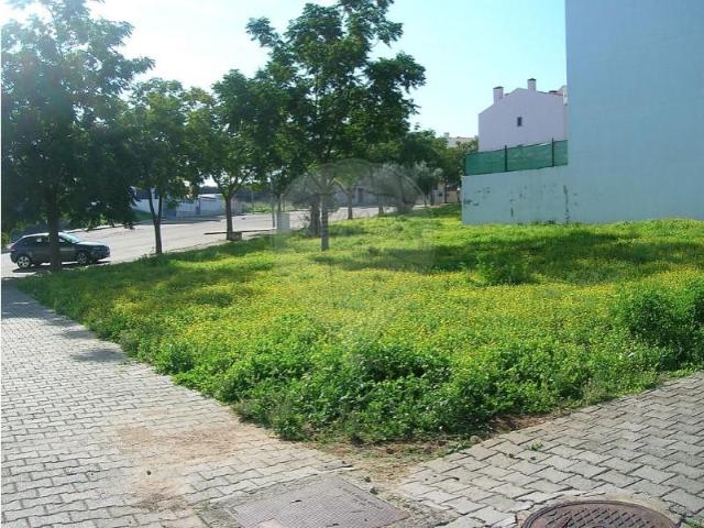 Elvas Elvas 102921848