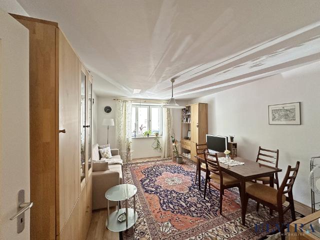 ELVIRA Maxvorstadt, vermietete und gut geschnittene 3 Zimmer Wohnung im Hochparterre mit kleiner Terrasse in bevorzugter Lage