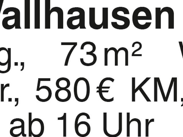ELW in Wallhausen