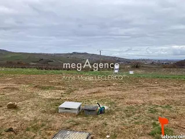 Emeringes 69840 Programme neuf maison neuf à vendre 4 pièces