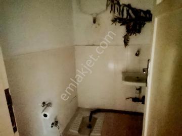 Çukurova, Adana ili, Akdeniz Bölgesi - Klima