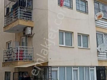 Kuşadası, Aydın ili, Ege Bölgesi