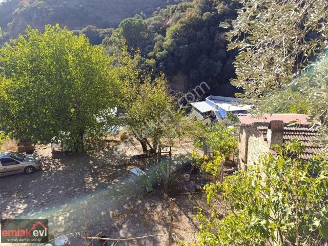 Emlak Evi'nden Çayyüzü Mah. Satılık Köy Evi Ve Arsası