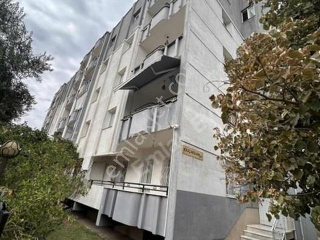 Emlak Evi'nden Fatih'de Cadde Üzeri Kombili Kiralık Daire