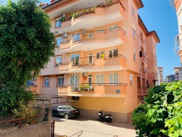 Develiler Sokak, Sugözü Mahallesi, Alanya, Antalya ili, Akdeniz Bölgesi