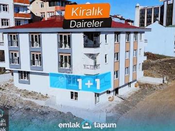 Fatsa, Ordu'da kiralık Daire