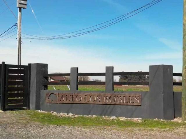 en TALCA