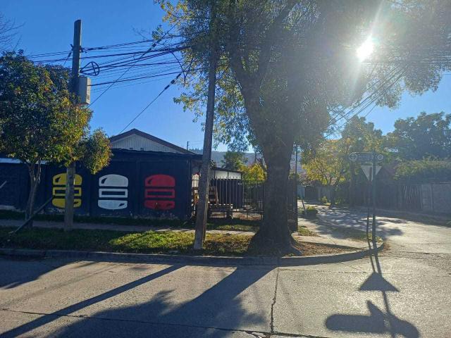 en TALCA
