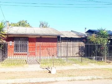 en TALCA