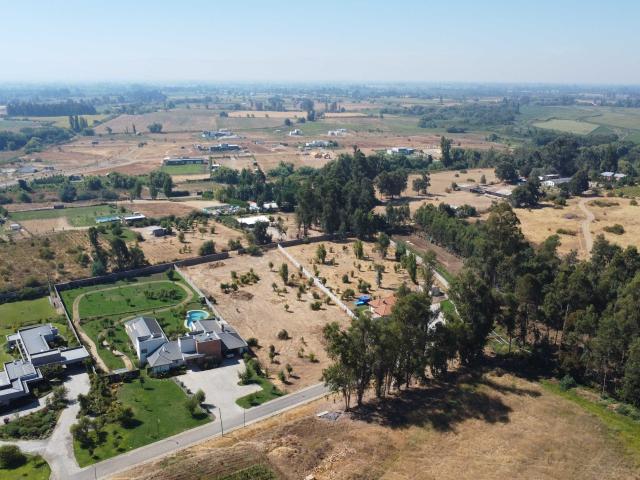 en TALCA