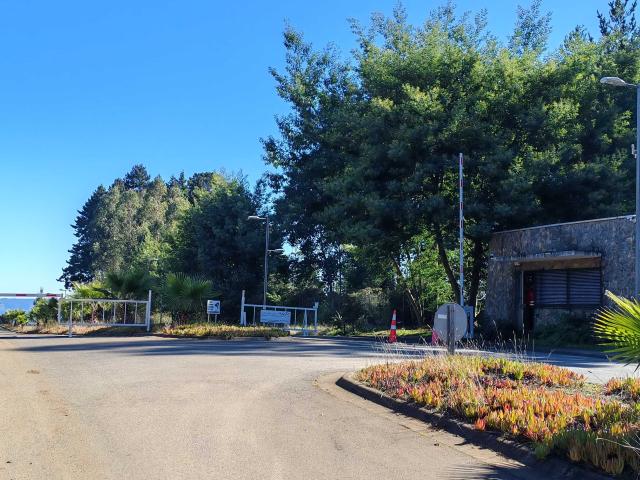 en TOMÉ