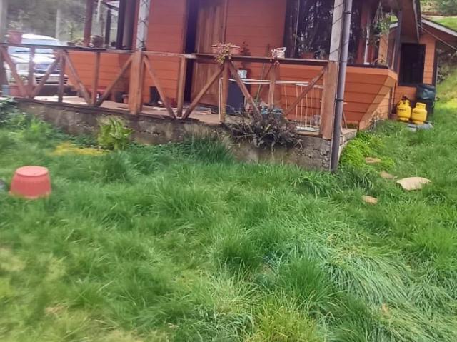 en VALDIVIA