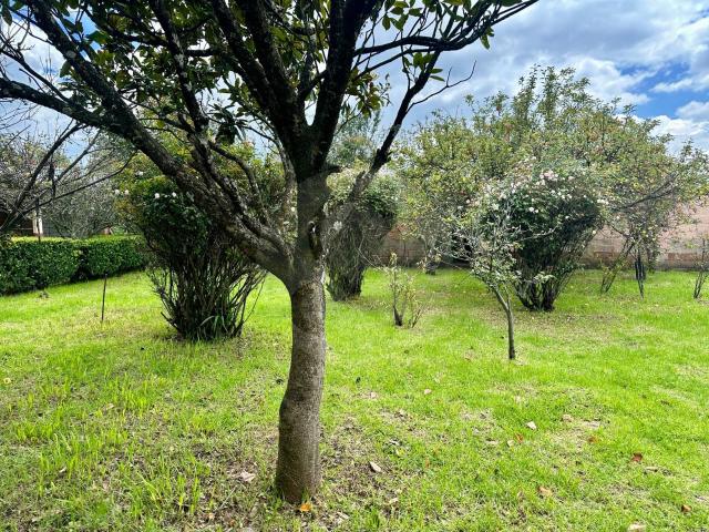 En Venta Terreno Comercial o Residencial frente Los Encinos