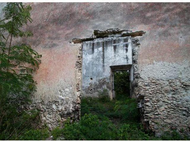 En venta terreno con casona y cenote en Temoz?n