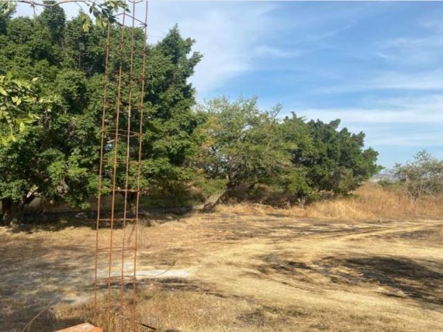 EN VENTA TERRENO EJIDAL EN COPALAR, YAUTEPEC, MORELOS