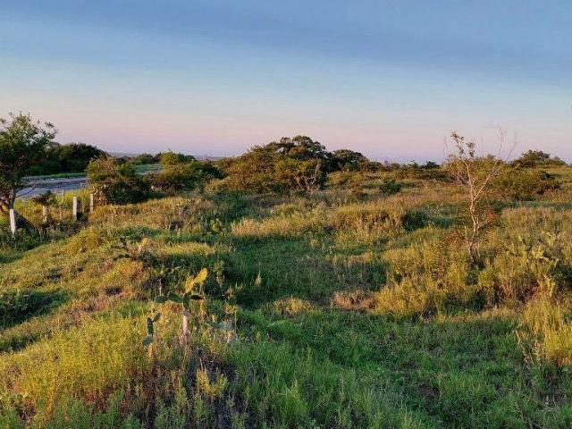 EN VENTA TERRENO EN CARRETERA COSTERA DEL GOLFO, PUEBLO VIEJO