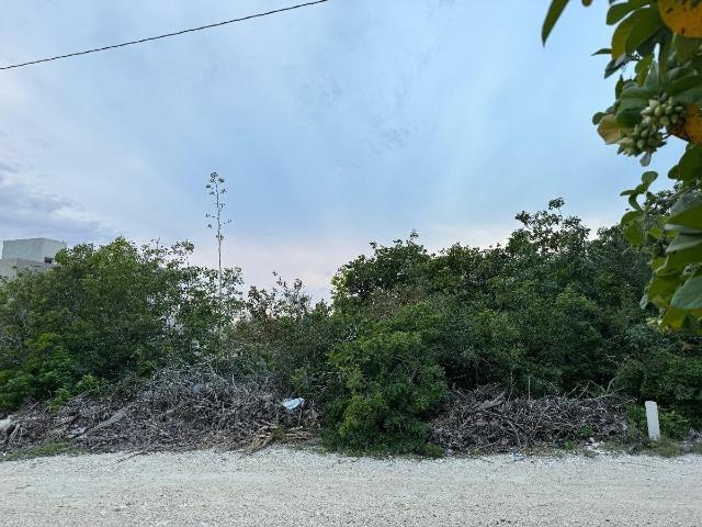 En Venta terreno en Chicxulub Puerto