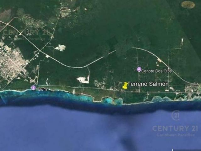 En Venta Terreno sobre Carretera 10 min de Tulum