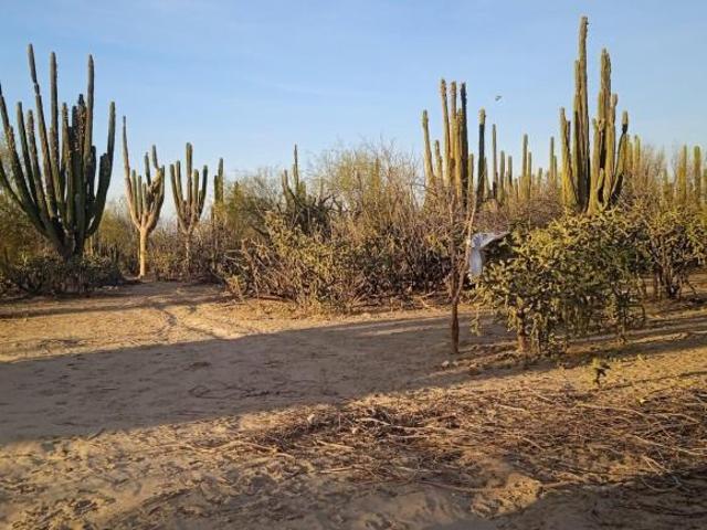En venta a 300 metros de la carretera cerca del entronque del sargento y la vent