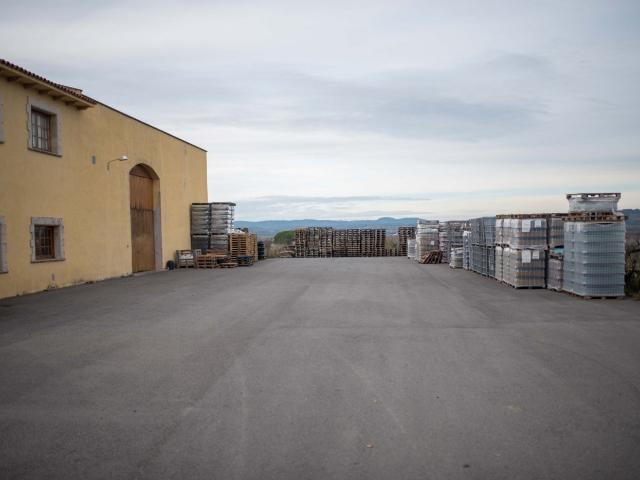 Activo vitivinícola en el Penedès con bodega, depósitos, acceso para camiones y finca de 25.000 m2