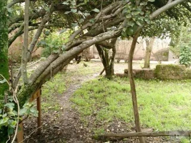 EN VENTA CASA COMO TERRENO EN CALLE TOTORAPACCHA SAN BLAS