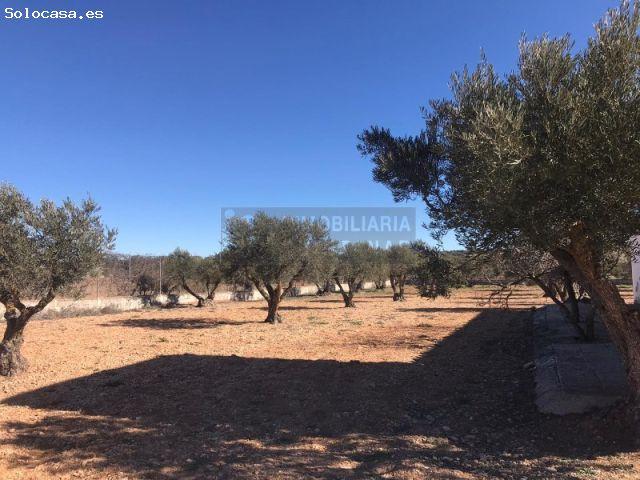 EN VENTA COMPLEJO DE OFICINAS ZONA COMERCIAL
