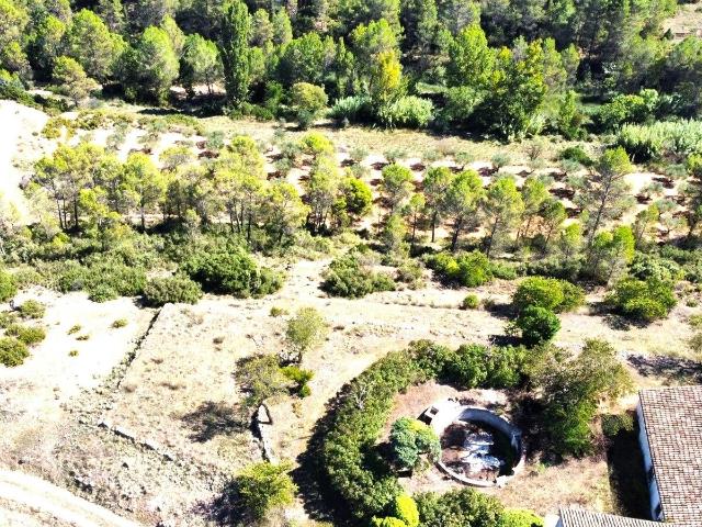 EN VENTA FINCA DE PASTOS EN YATOVA