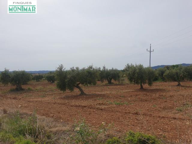 En venta Finca Rústica en Sant Jaume dels Domenys