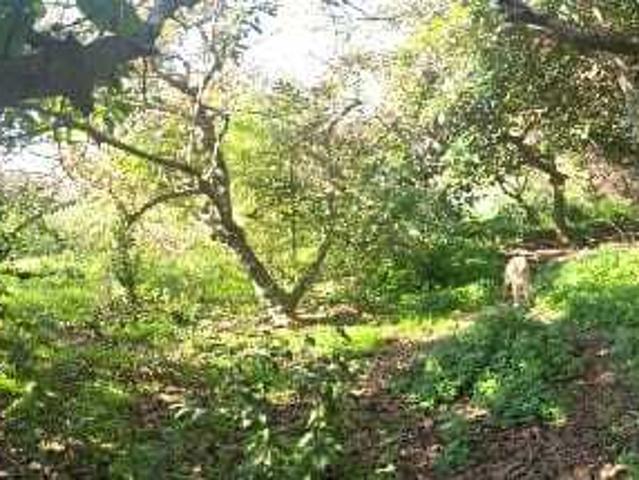 EN VENTA parcela ubicada en Manuel Córdova, Huerto Obrero, La Calera