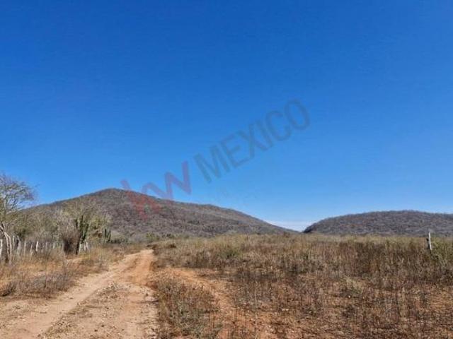 EN VENTA RANCHO DE 92 HECTÁREAS