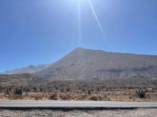 en VICUÑA