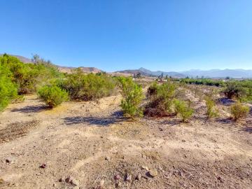 Vicuña, Provincia de Elqui, Región de Coquimbo