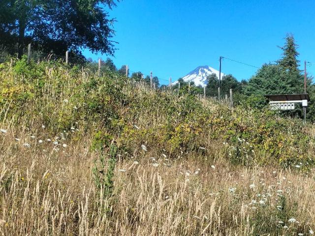 en VILLARRICA